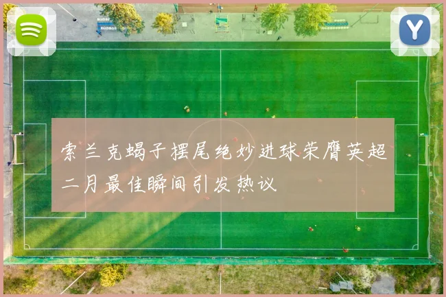 索兰克蝎子摆尾绝妙进球荣膺英超二月最佳瞬间引发热议